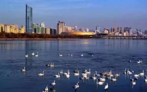 三門(mén)峽又一網(wǎng)紅景點(diǎn)，確定不來(lái)pick一下？